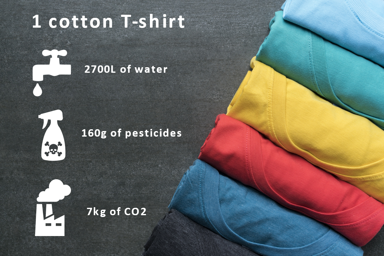 Environmental Impact of the production of a T-shirt